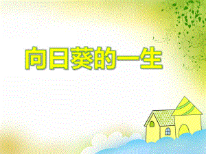 大班科学活动《向日葵的一生》PPT课件大班科学活动《向日葵的一生》PPT课件.ppt