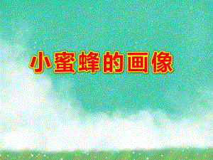 大班美术课件《小蜜蜂的画像》PPT课件教案蜜蜂PPT课件.ppt