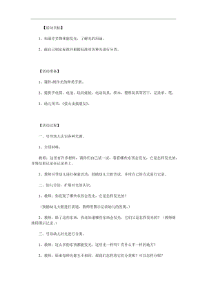 大班科学活动《会发光的物体》PPT课件教案参考教案.docx