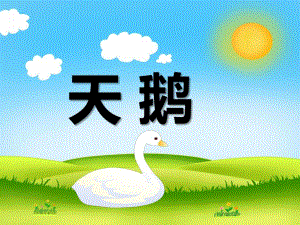 幼儿园动物儿歌《天鹅》PPT课件音频PPT课件.ppt