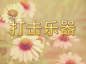 大班《打击乐器》PPT课件打击乐器.ppt