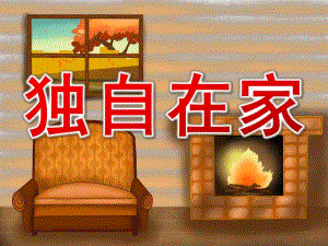 大班安全《独自在家》PPT课件教案独自在家PPT.ppt