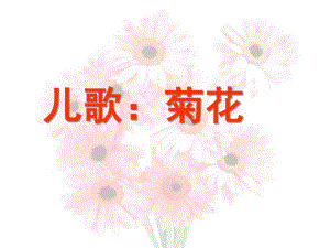 大班儿歌《菊花》PPT课件儿歌：菊花.ppt