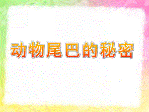 大班科学公开课《动物尾巴的秘密》PPT课件教案8571b333f524ccbff12184fa.ppt