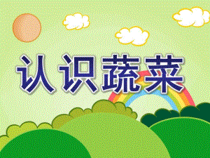 认识蔬菜PPT课件教案认识蔬菜ppt课件.ppt
