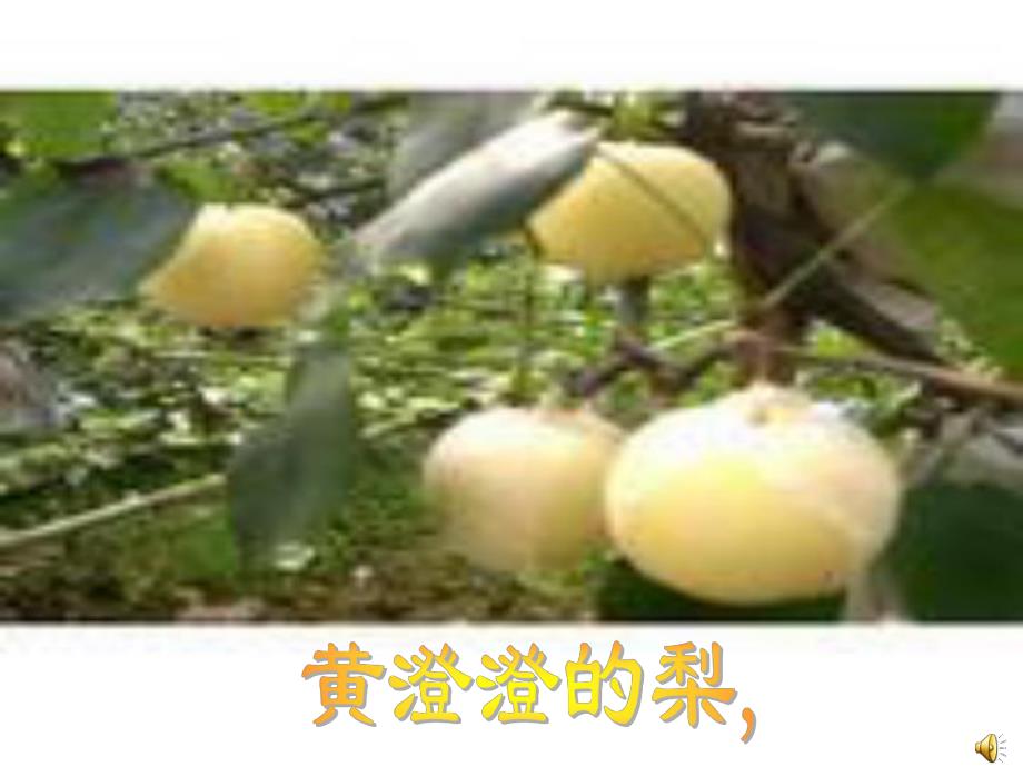 幼儿园诗歌《天的画报》PPT课件教案配音ppt课件.ppt_第3页