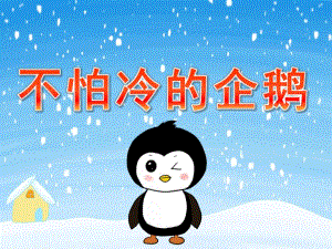 中班科学《不怕冷的企鹅》PPT课件教案PPT课件.ppt