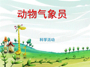 大班科学《动物气象员》PPT课件教案动物气象员.ppt