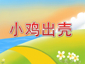 小班音乐《小鸡出壳》PPT课件教案歌曲PPT课件.pptx