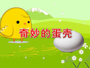 大班科学《奇妙的蛋壳》PPT课件教案1cfd378d0342a8956bec0975f46527d3250ca614.pptx