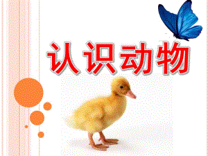 大班科学《认识动物》PPT课件教案大大班-认识动物.pptx