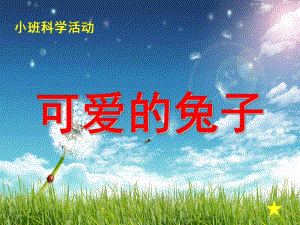 小班科学公开课《可爱的兔子》PPT课件教案可爱的兔子ppt课件.ppt
