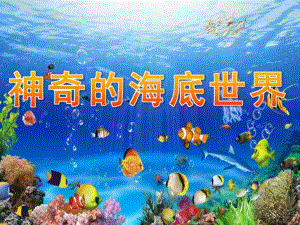 大班科学《神奇的海底世界》PPT课件幼儿园海底世界ppt.pptx