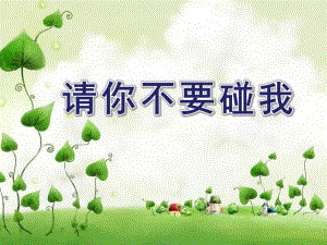 大班健康《请你不要碰我》PPT课件请你不要碰我.pptx