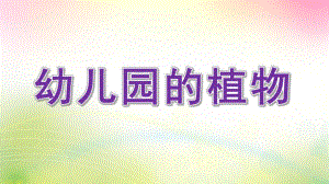 大班语言《幼儿园的植物》PPT课件大班语言：幼儿园的植物.pptx