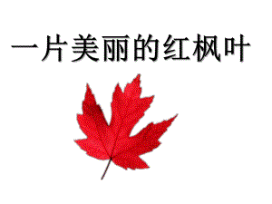 中班语言《一片美丽的红枫叶》PPT课件教案一片美丽的红枫叶.pptx
