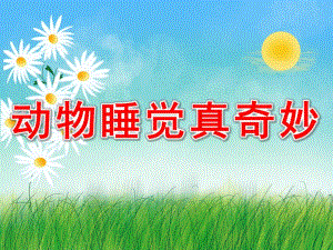 中班科学活动《动物睡觉真有趣》PPT课件教案动物睡觉真奇妙.pptx