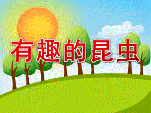大班科学活动《有趣的昆虫》PPT课件教案PPT课件.pptx
