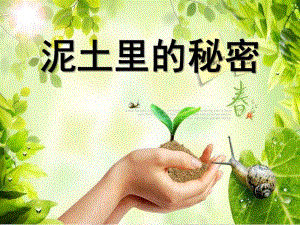 小班科学《土里的秘密》PPT课件教案泥土里的秘密.pptx