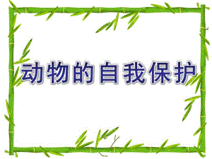 大班科学《动物的自我保护》PPT课件教案003d31cdf12d2af90342e682.pptx