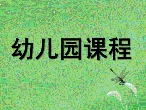 幼儿园课程精选PPT课件幼儿园课程精选.ppt