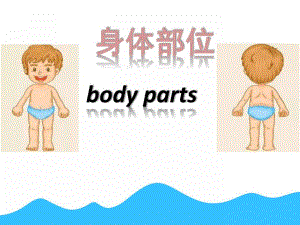 小班英语《身体部位》PPT课件教案PPT课件.pptx