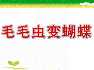 幼儿园活动《毛毛虫变蝴蝶》PPT课件教案毛毛虫变蝴蝶课件.pptx