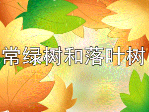 大班《常绿树和落叶树》PPT课件教案PPT课件.pptx