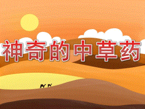 大班科学活动《神奇的中草药》PPT课件教案PPT课件.pptx