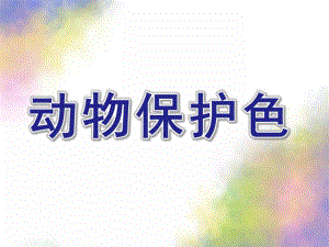 大班科学公开课《动物保护色》PPT课件教案动物保护色.pptx