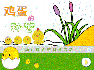 大班科学《鸡蛋的秘密》PPT课件教案PPT课件.pptx