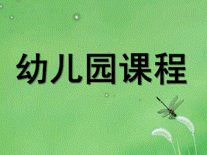 幼儿园课程精选PPT课件幼儿园课程精选.pptx