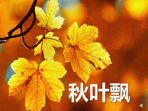 小班语言《叶飘》PPT课件教案配音版本1.pptx