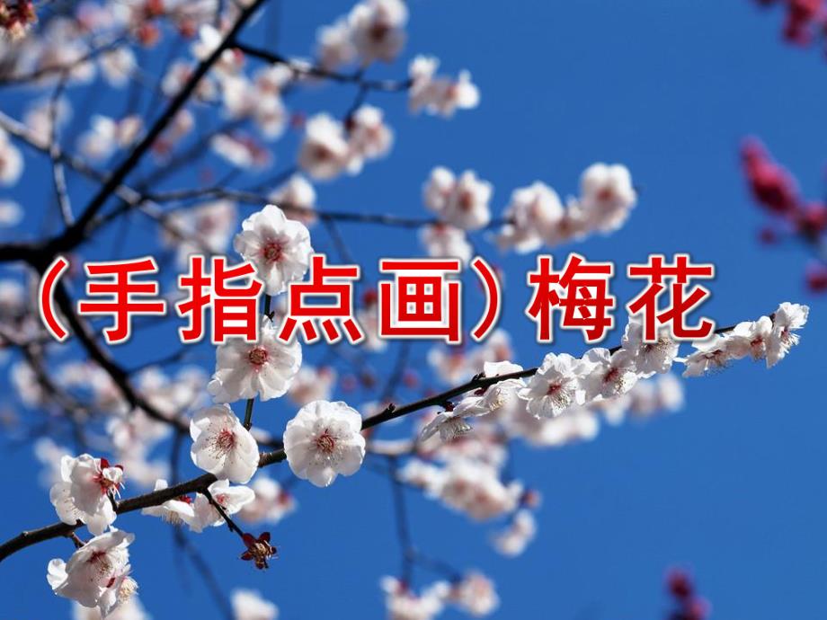 中班绘画活动《(手指点画)梅花》PPT课件中班绘画活动(手指点画)手:梅花.pptx_第1页