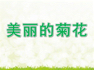 小班科学《美丽的菊花》PPT课件教案small82ab9b3942d28c356dfbe38387b482d4.pptx
