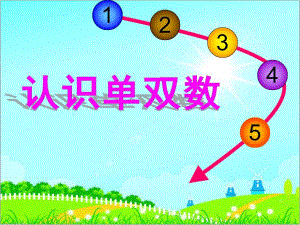 大班数学《10以内单双数》PPT课件教案大班认识10以内单双数.pptx