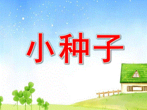 小班语言儿歌《小种子》PPT课件教案音乐小班语言儿歌：小种子.ppt