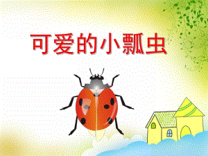 幼儿园《可爱的小瓢虫》PPT课件教案PPT.pptx