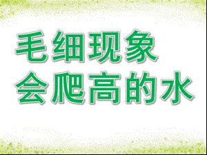 大班科学《毛细现象——会爬高的水》PPT课件教案毛细现象——会爬高的水.pptx