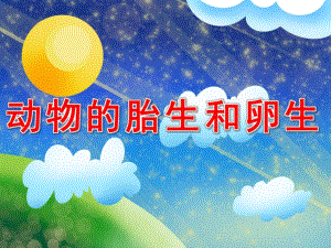 幼儿园《动物的胎生和卵生》PPT课件教案PPT课件.pptx