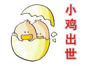 小班科学故事《小鸡出世》PPT课件小鸡出壳(1).ppt