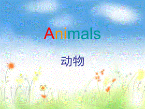 幼儿园英语《动物》PPT课件_动物.ppt