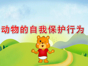大班科学《动物的自我保护行为》PPT课件教案PPT课件.pptx