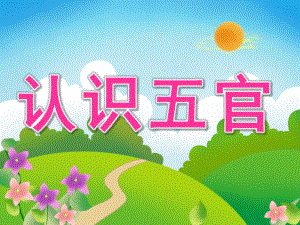 幼儿园说课《认识五官》PPT课件教案PPT课件.pptx
