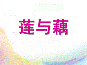 大班科学《莲与藕》PPT课件教案莲与藕.pptx
