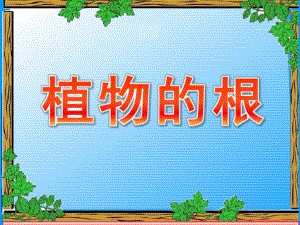 大班科学常识《植物的根》PPT课件教案科学启蒙---植物的根.pptx