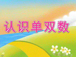 大班数学公开课《认识单双数》PPT课件教案PPT课件.pptx