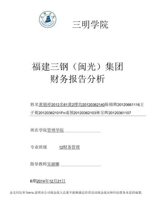 X年福建三钢(闽光)集团财务效率分析.docx