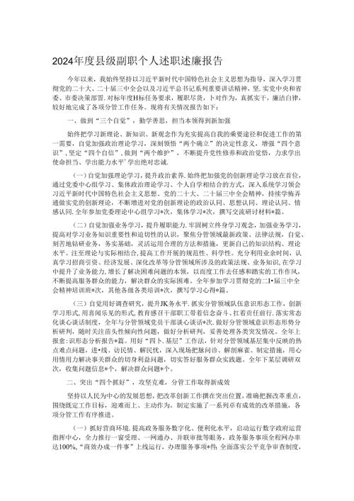 2024年度县级副职个人述职述廉报告.docx