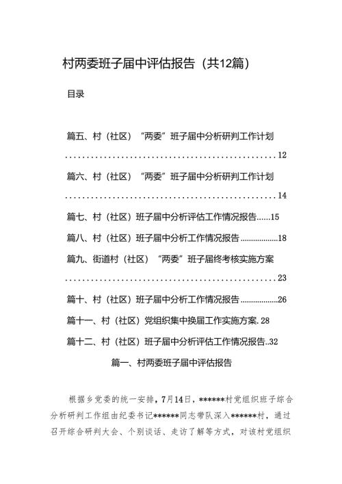 村两委班子届中评估报告（共12篇）.docx